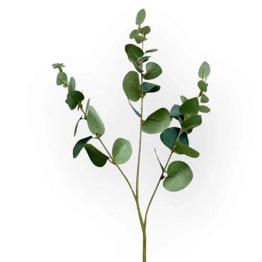 A single stem of Eucalyptus Sage Green artificial foliage with rounded leaves, showcasing a realistic and natural design.