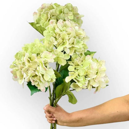 A hand holding a bouquet of Hydrangea Green Artificial Flowers, featuring multiple realistic green blooms.