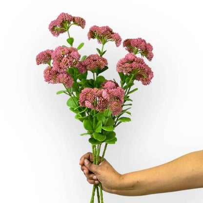 A hand holding a bouquet of Sedum Pink Artificial Flowers with multiple stems of clustered, star-shaped blooms in vibrant pink, accompanied by lush green leaves.